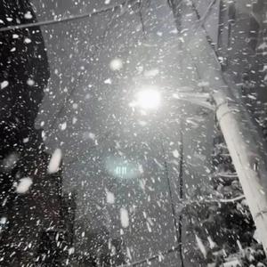 一级毛片A级黄A片寂寞的女人
