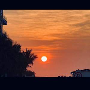 一级毛片A级黄A片寂寞的女人
